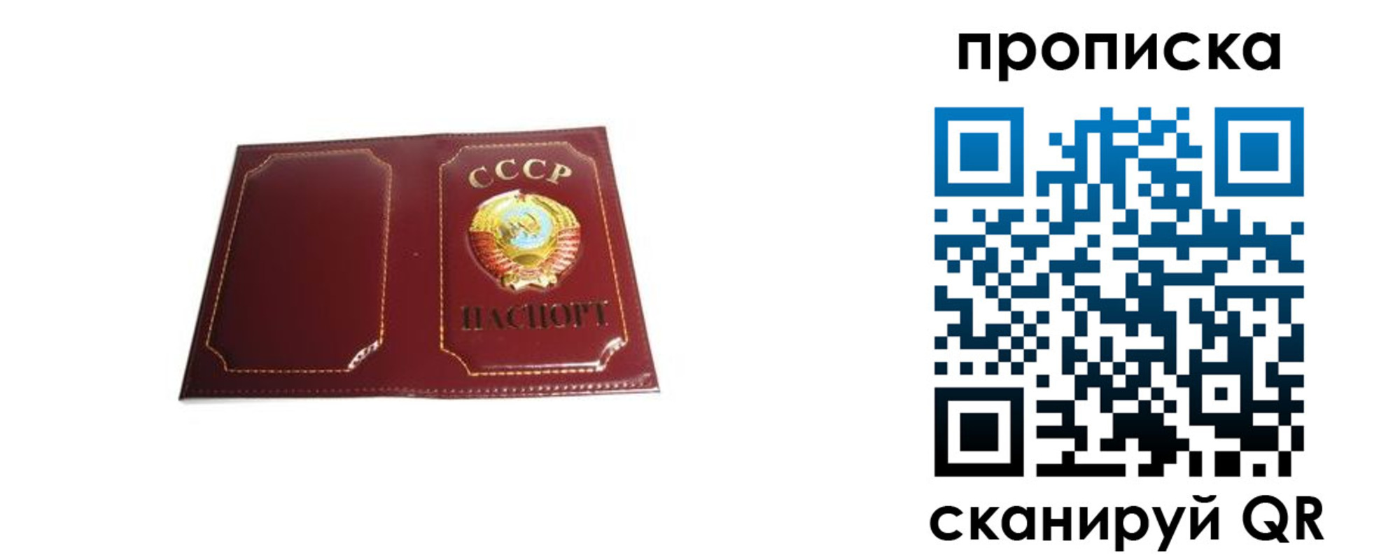 прописка гарантия в России